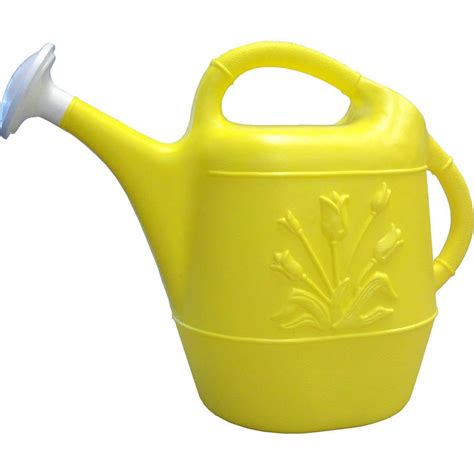 1 gallon watering can